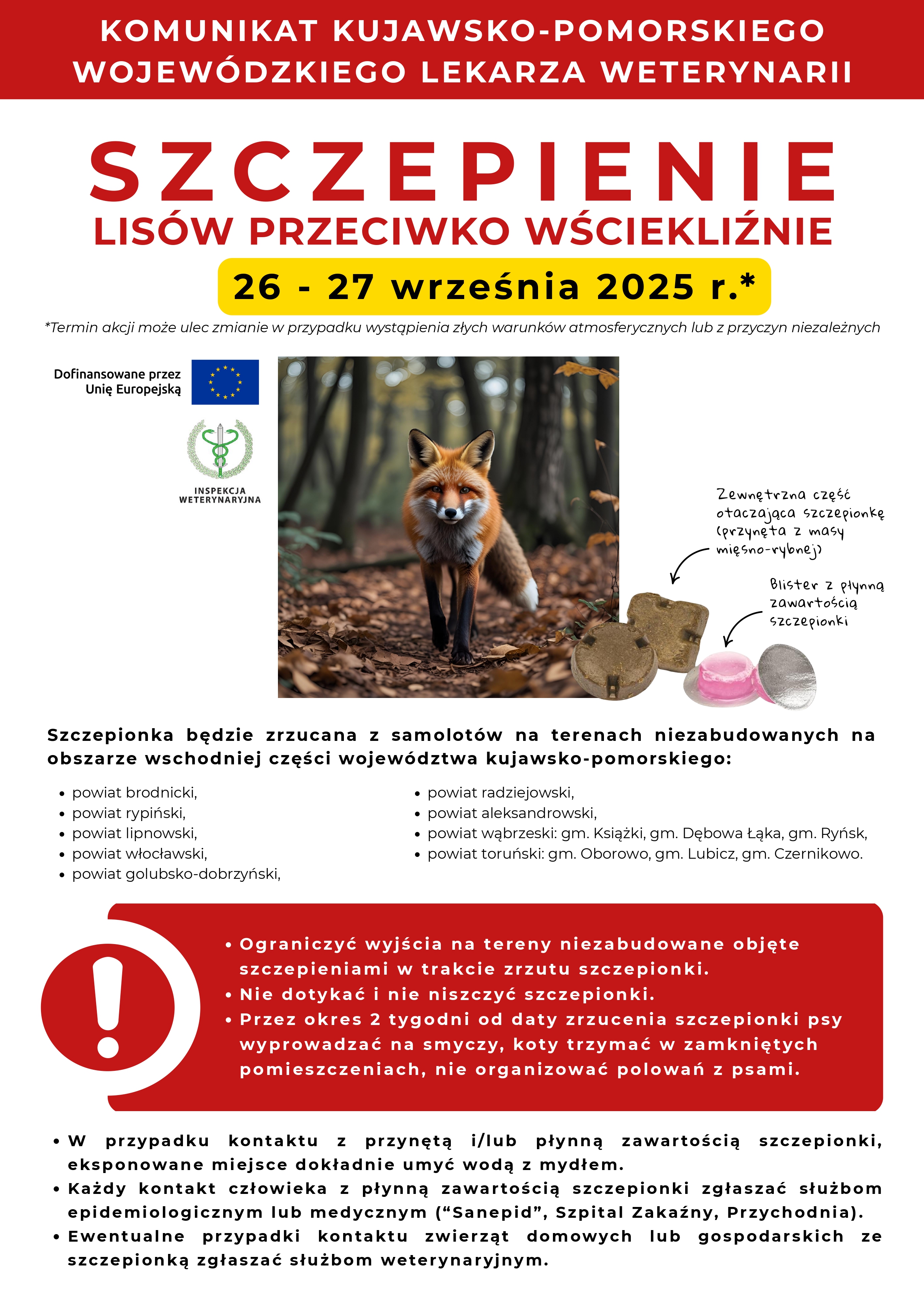 Szczepienie lisów przeciwko wściekliźnie