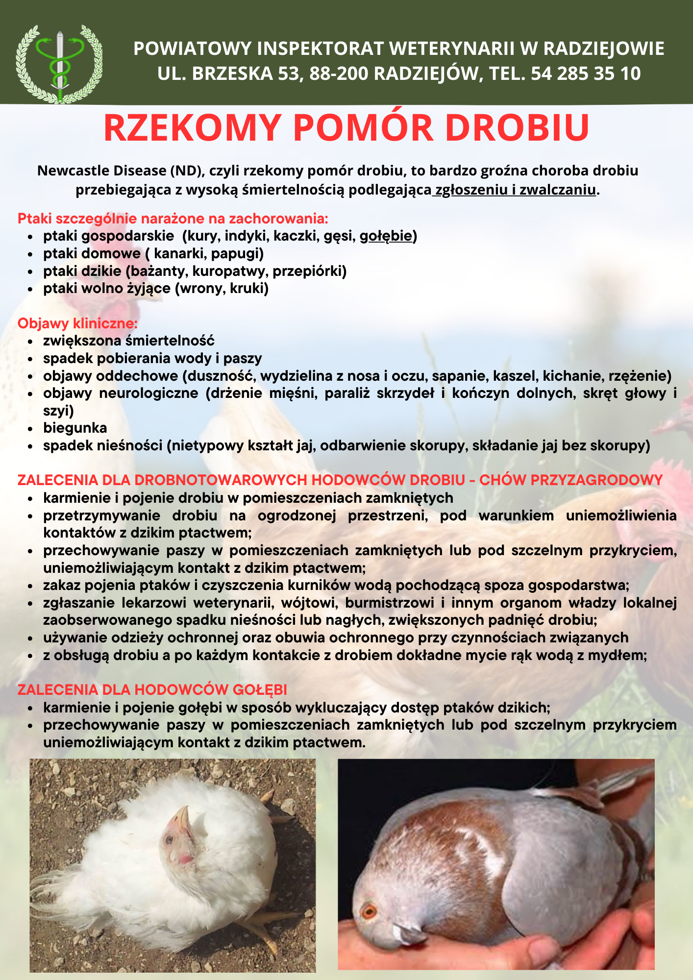 Ulotka informacyjna