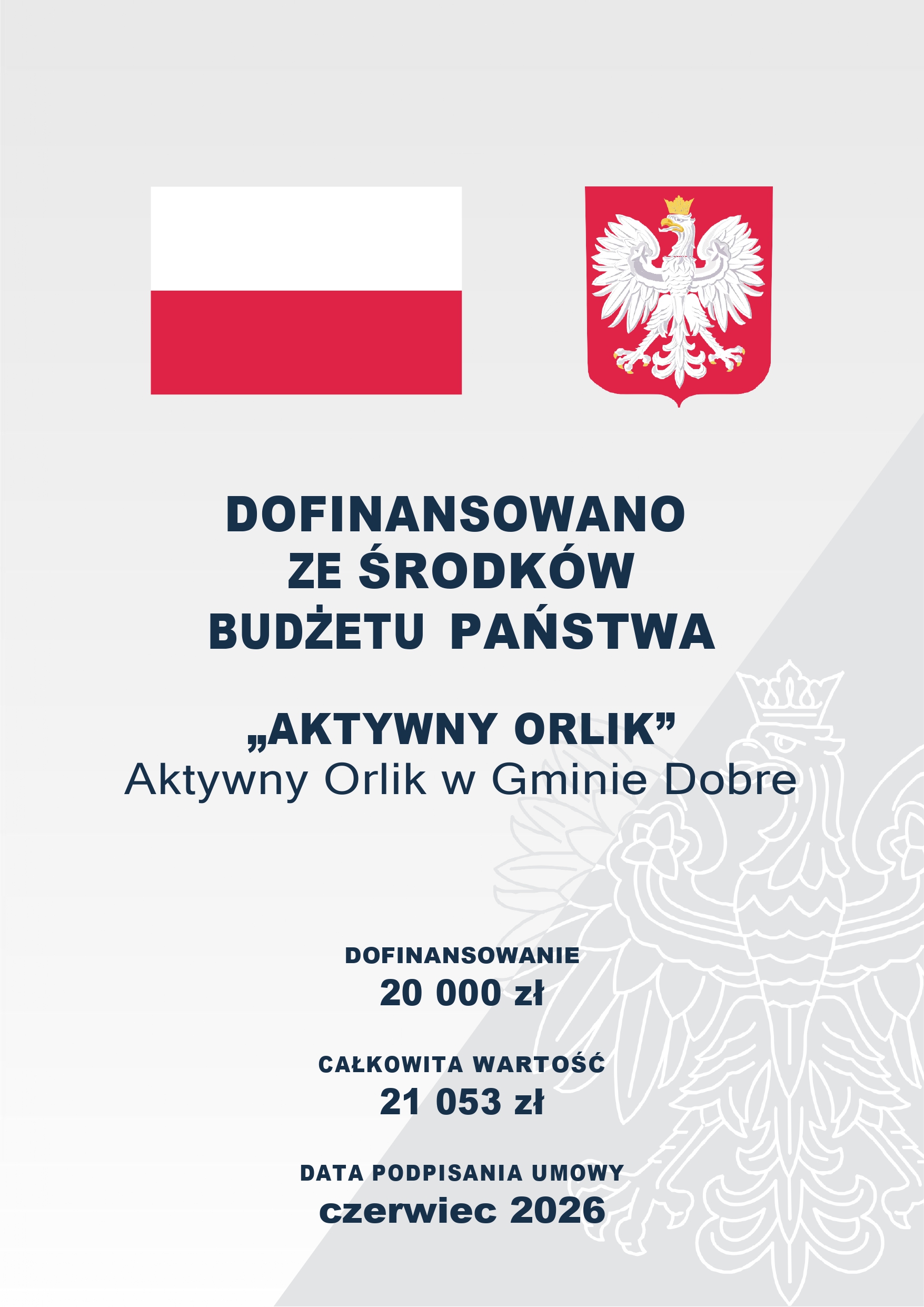 Aktywny orlik