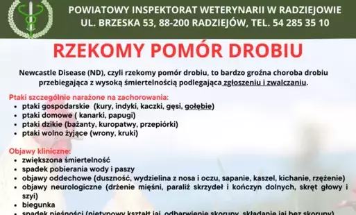 Informacja na temat ryzyka wystąpienia wysoce zjadliwej grypy ptaków (HPAI) i rzekomego pomoru drobiu (ND)