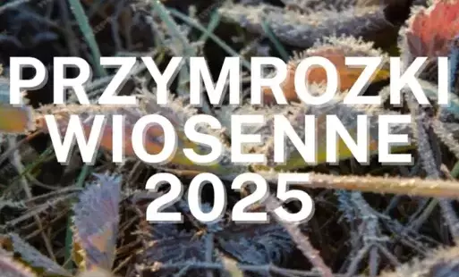 Przymrozki wiosenne 2025
