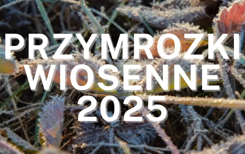 Przymrozki wiosenne 2025