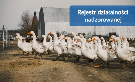 Informacja Powiatowego Lekarza Weterynarii w Radziejowie