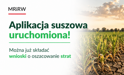 Aplikacja suszowa 2026 – rolnicy mogą zgłaszać szkody