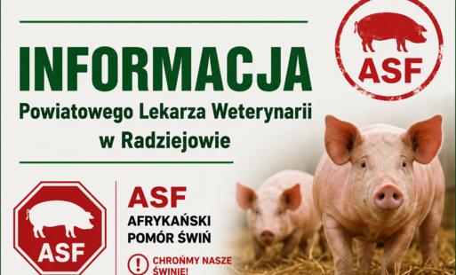 Komunikat Powiatowego Lekarza Weterynarii w Radziejowie w sprawie wystąpienia drugiego ogniska ASF na terenie Rzeczypospolitej Polskiej
